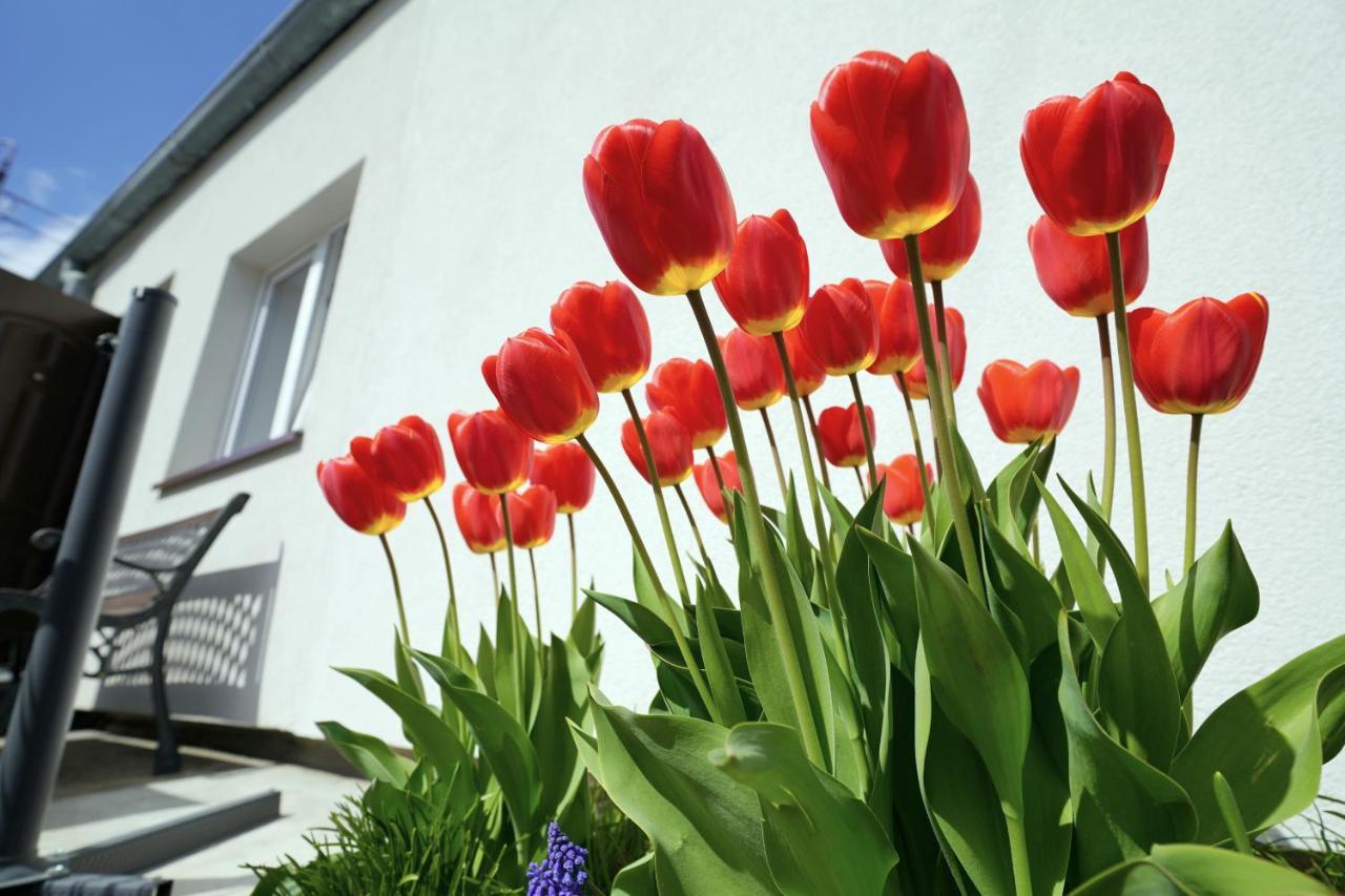 Apartamenty Na Szlaku Giżycko Buitenkant foto