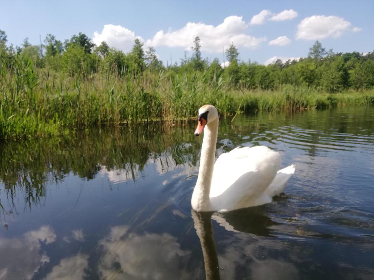 Apartamenty Na Szlaku Giżycko Buitenkant foto